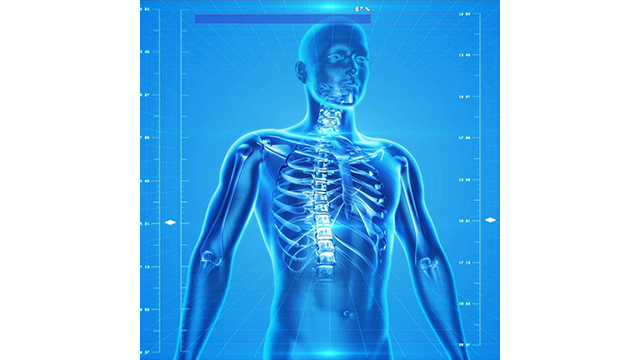 An Update to CELL 210 An Update to CELL 210